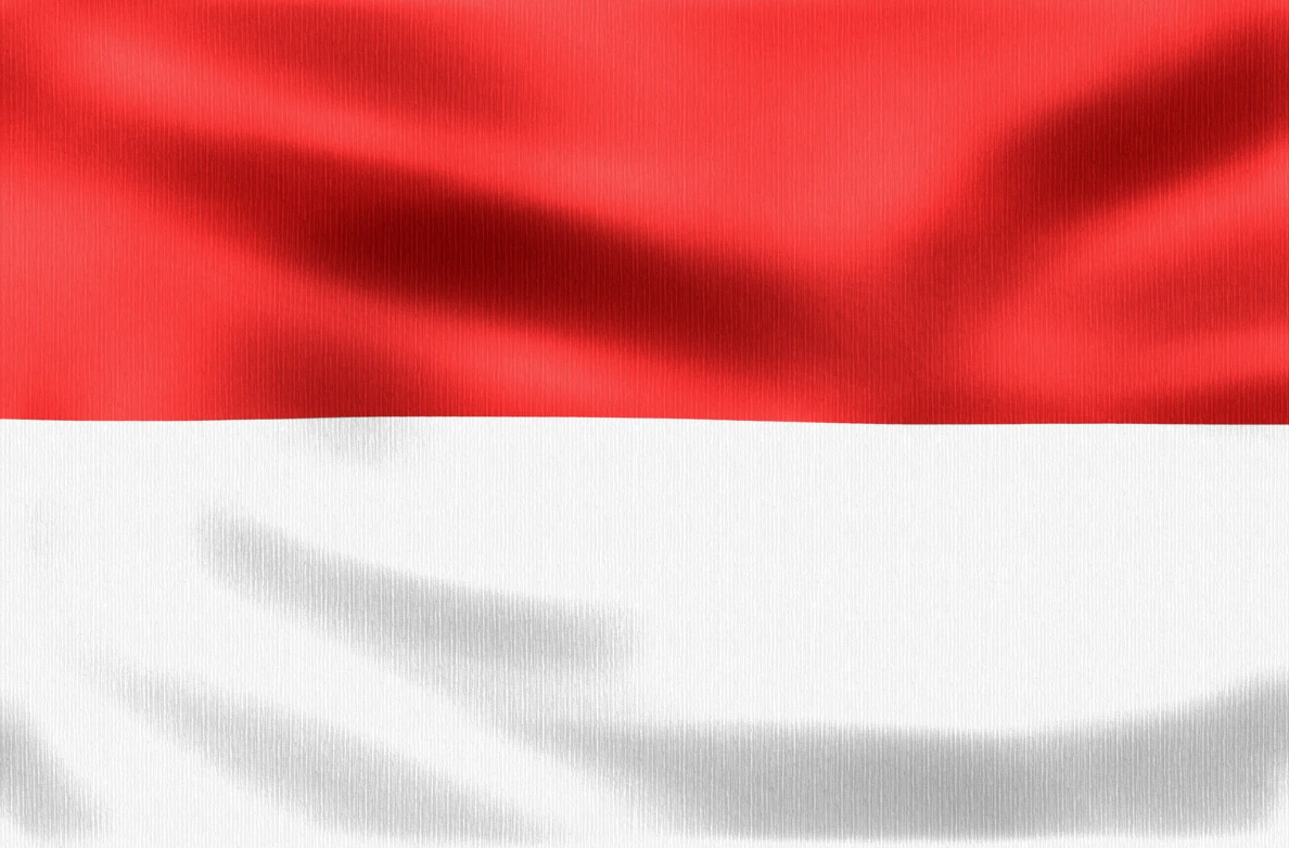 IDN flag